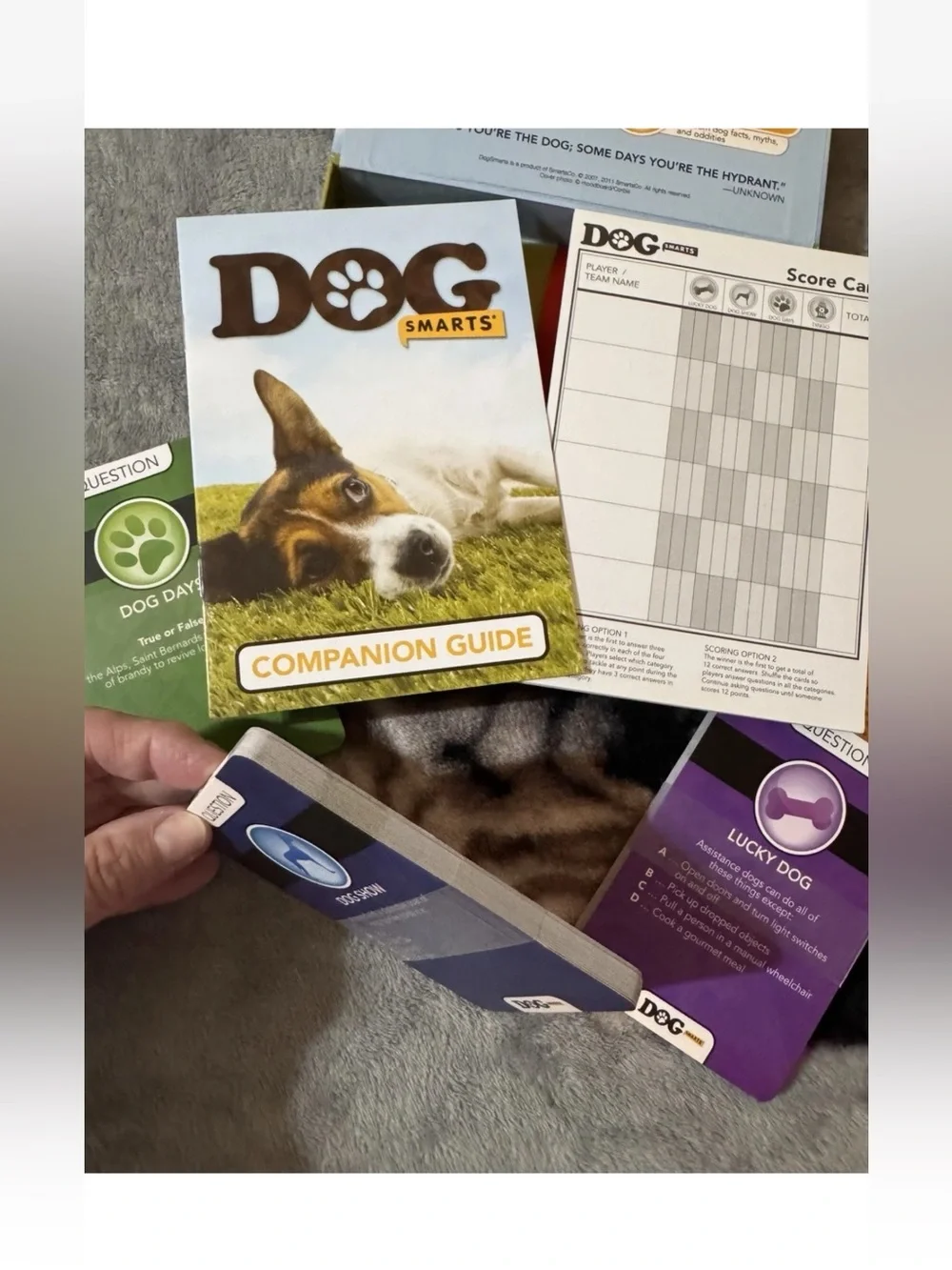 Dog Smarts Game